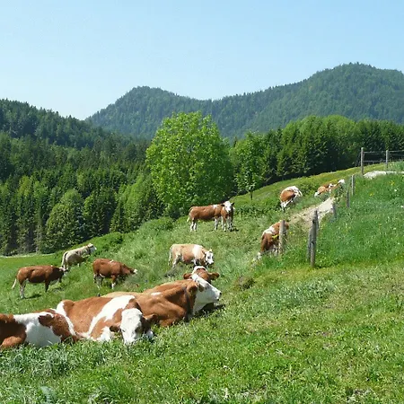 Vendégház Gasthof Jachenau Jachenau